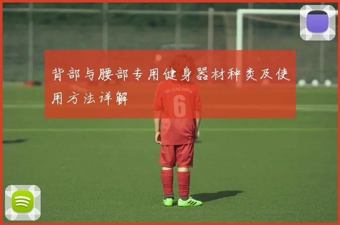 背部与腰部专用健身器材种类及使用方法详解