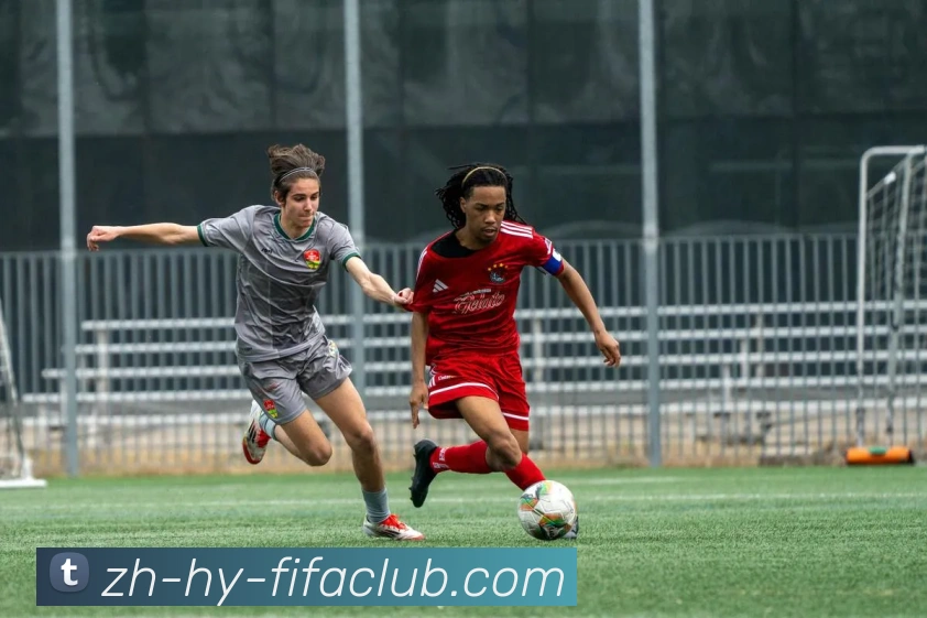 世界杯买球平台生态图